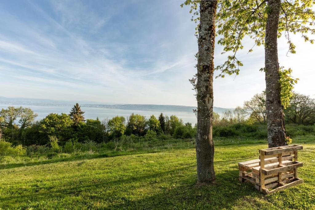 Le Garden - Ski - Vue Lac - Piscine - Parking - Evian - Thonon - Lugrin Exterior photo
